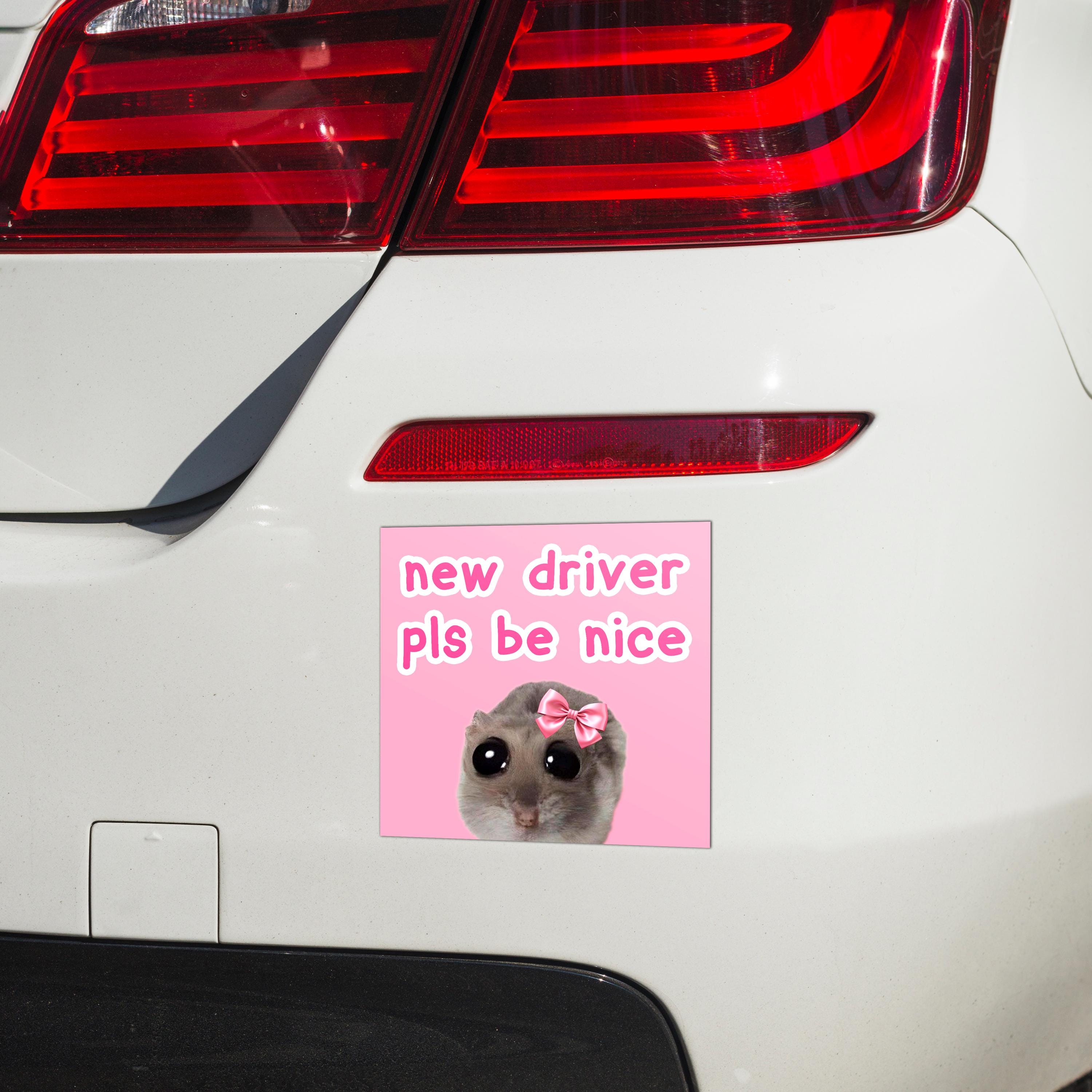 "new driver pls be nice" Rat Car Bumper Magnet