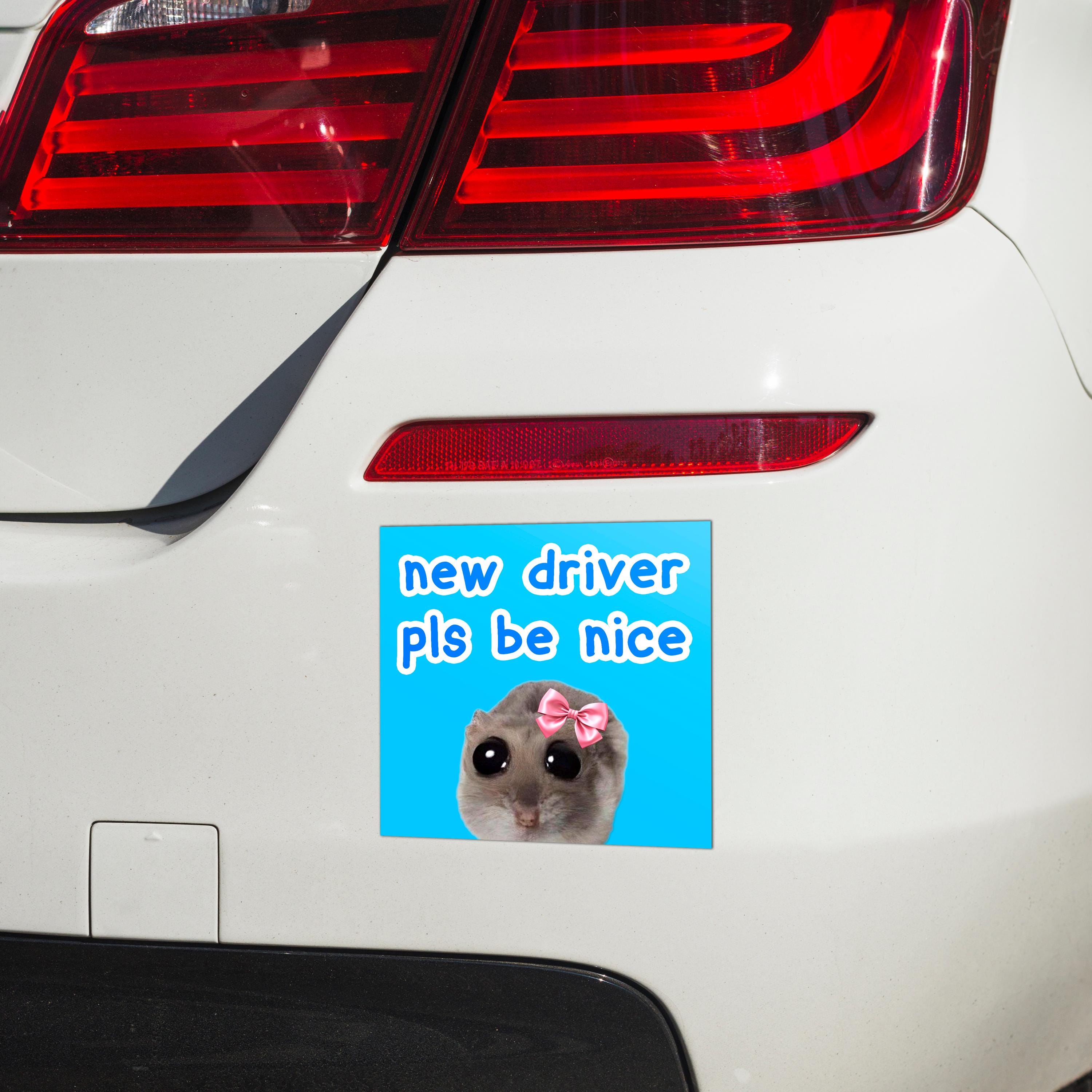 "new driver pls be nice" Rat Car Bumper Magnet