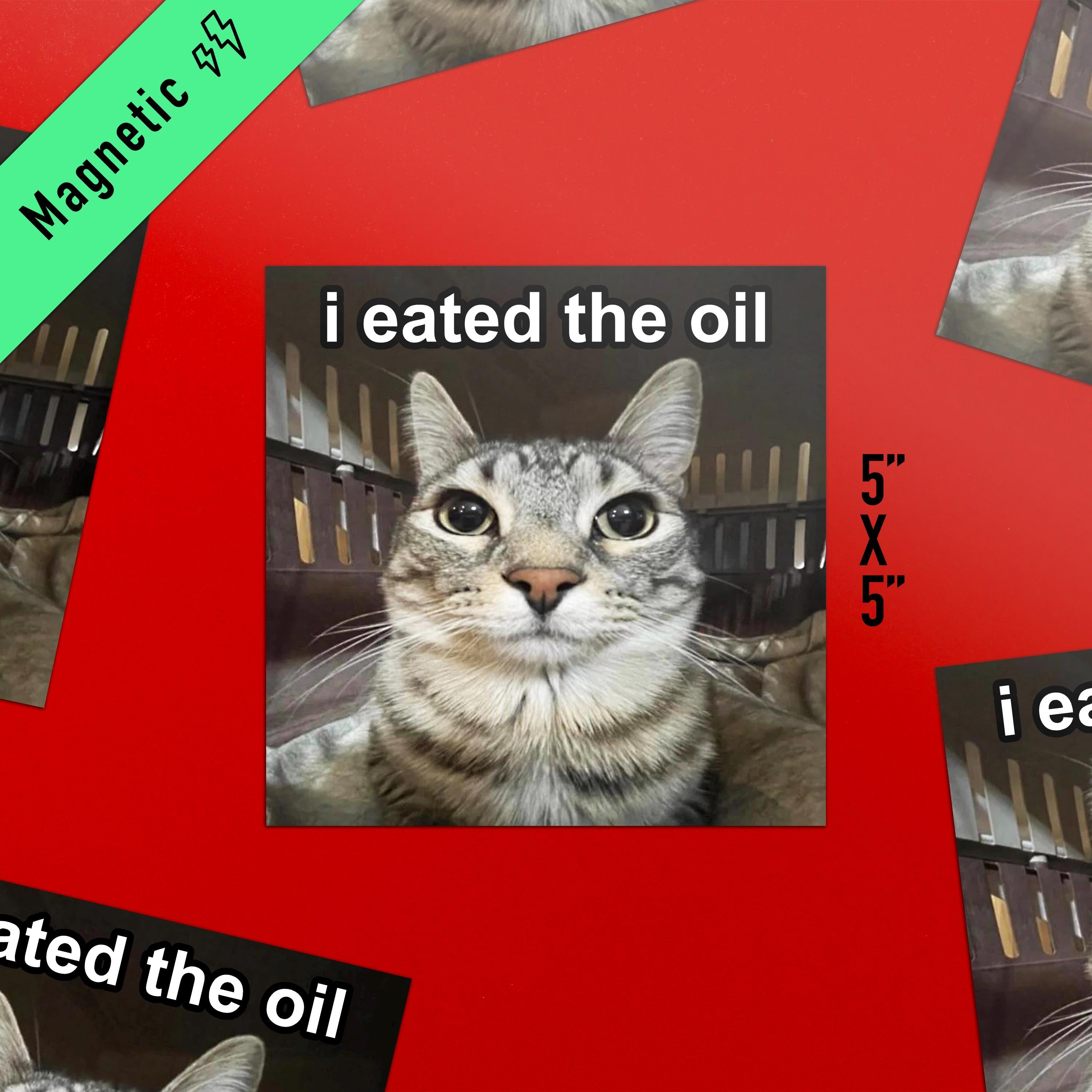 "i eated the oil" Car Bumper Magnet