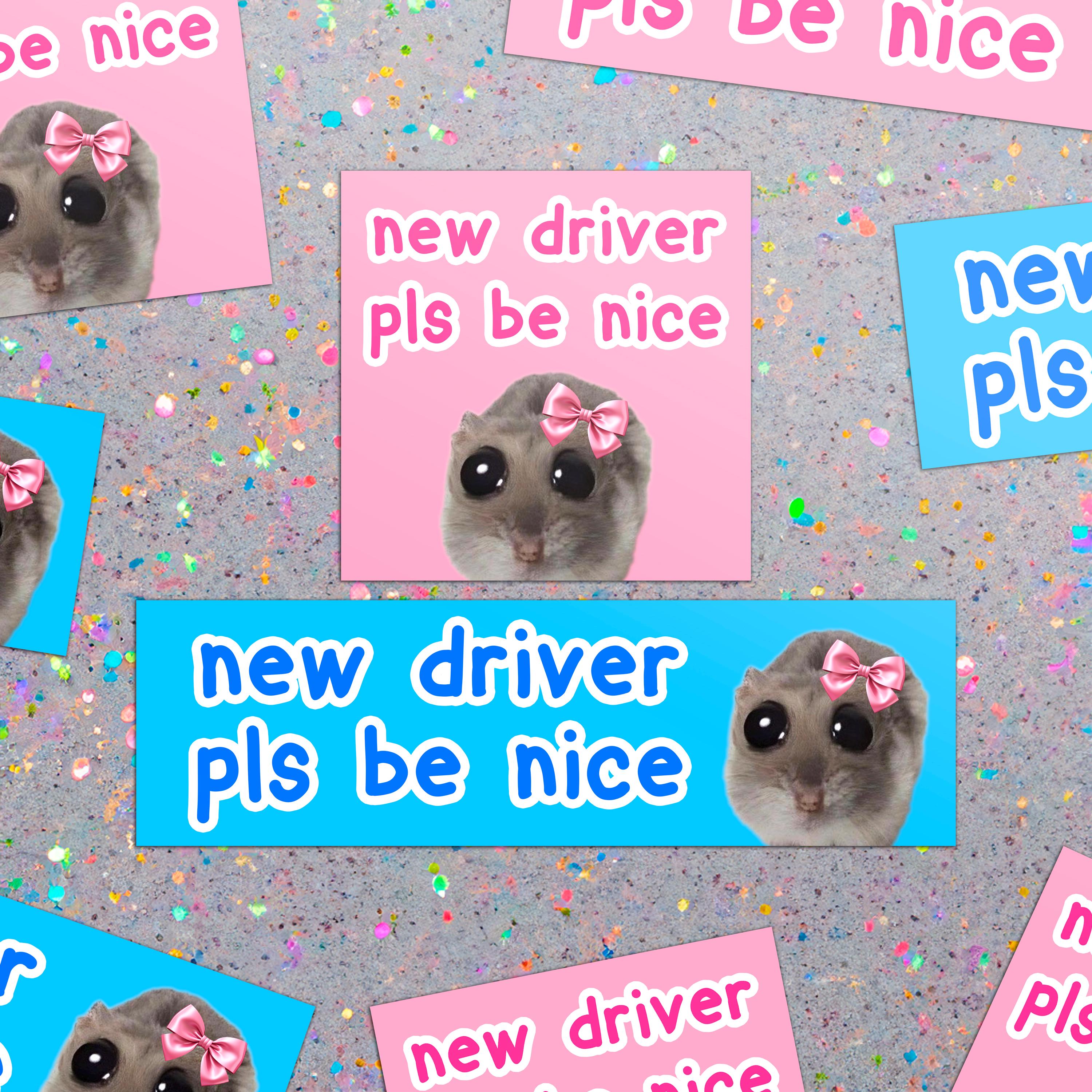 "new driver pls be nice" Rat Car Bumper Magnet