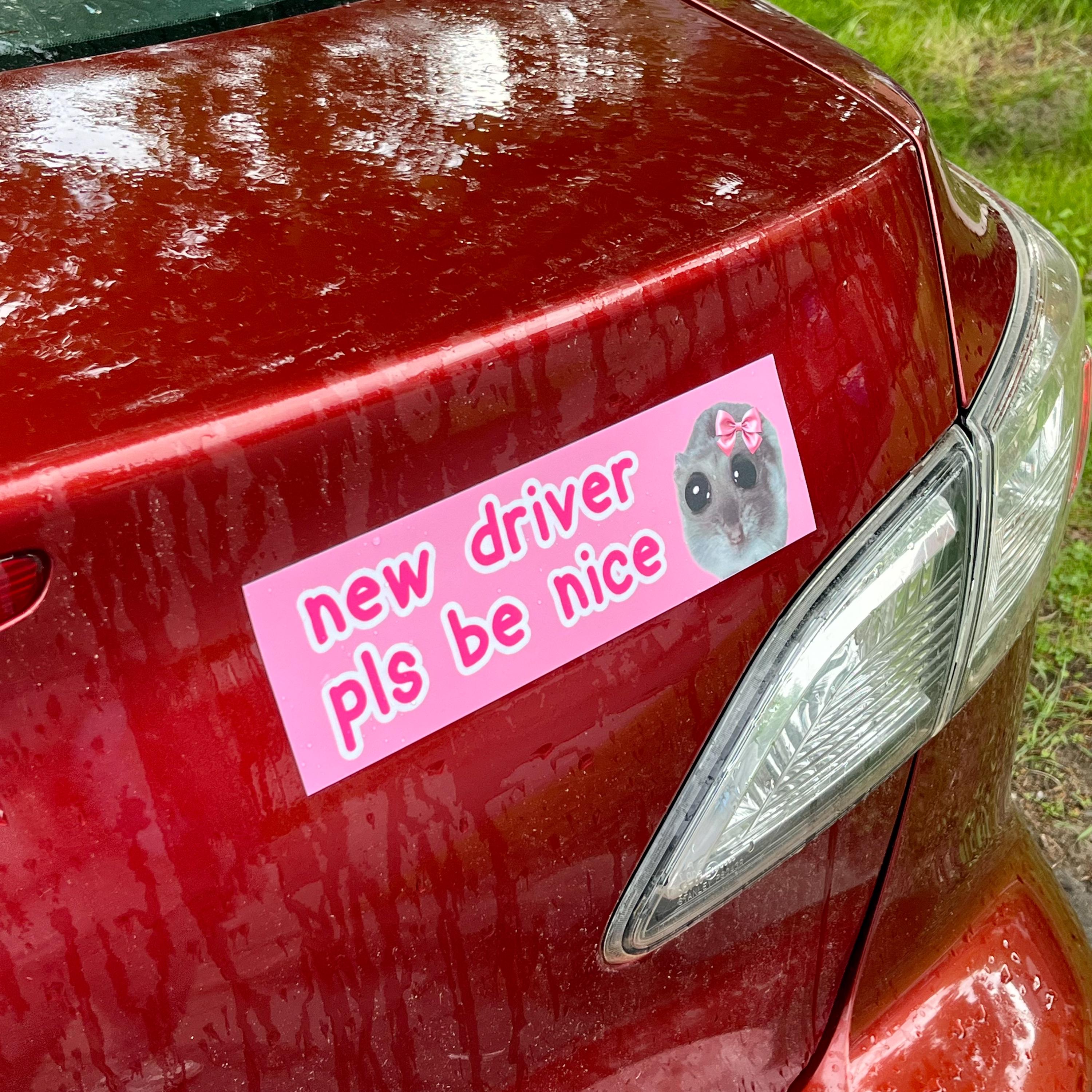 "new driver pls be nice" Rat Car Bumper Magnet