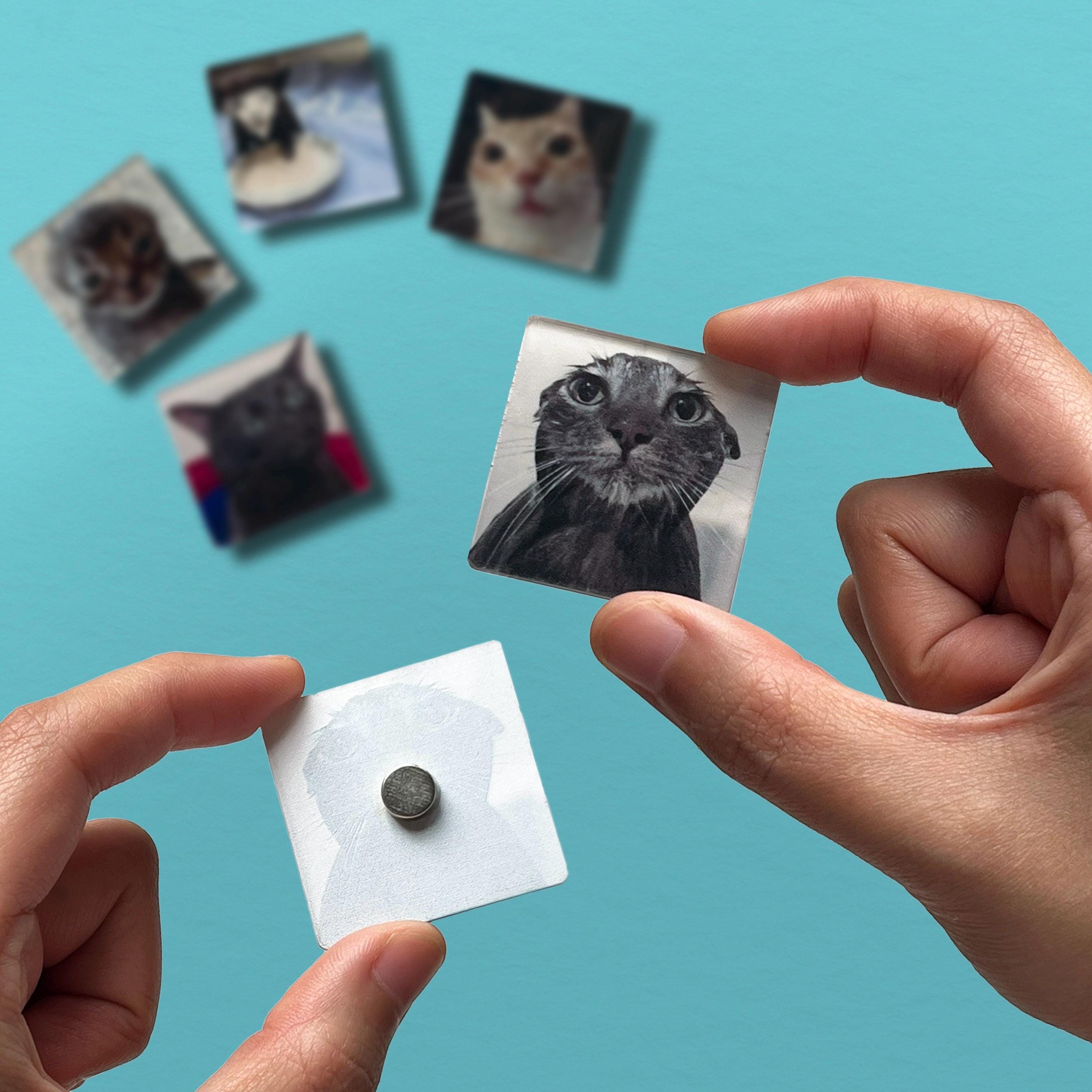 Cat Meme Acrylic Magnets Set of 5