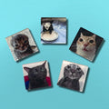 Cat Meme Acrylic Magnets Set of 5
