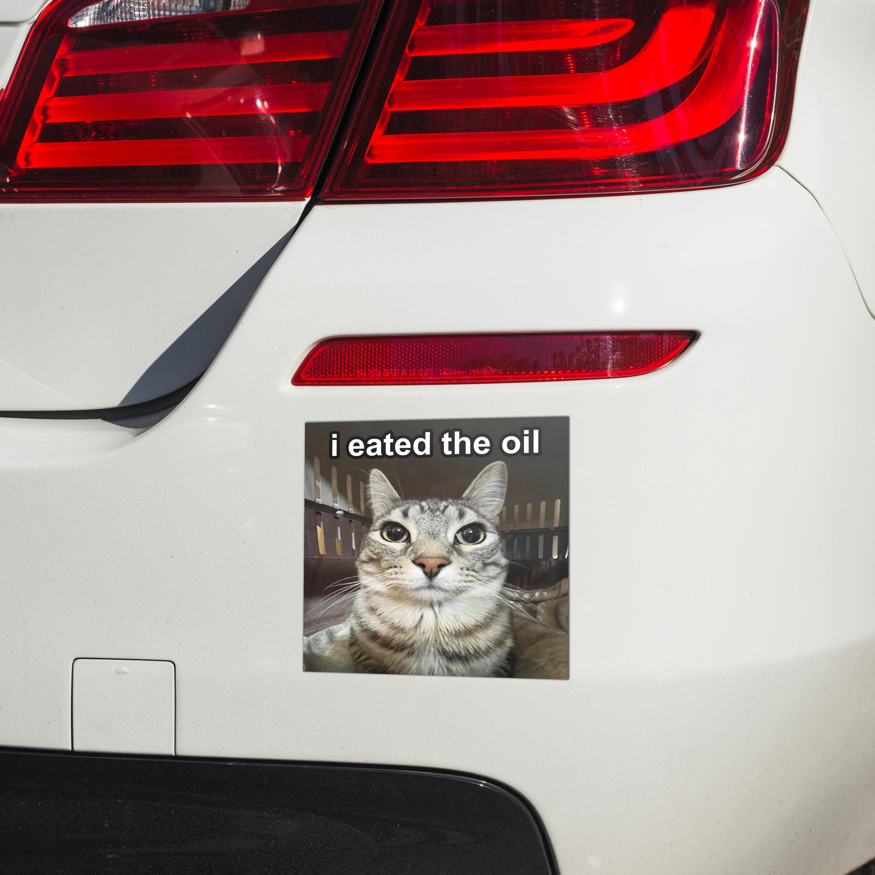 "i eated the oil" Car Bumper Magnet