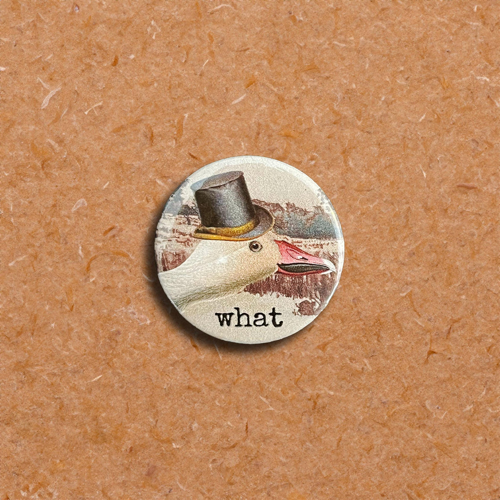 Certified Silly Goose Pinback Button Set